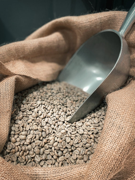 Raw coffee beans in a burlap sack with a metal scoop resting inside.