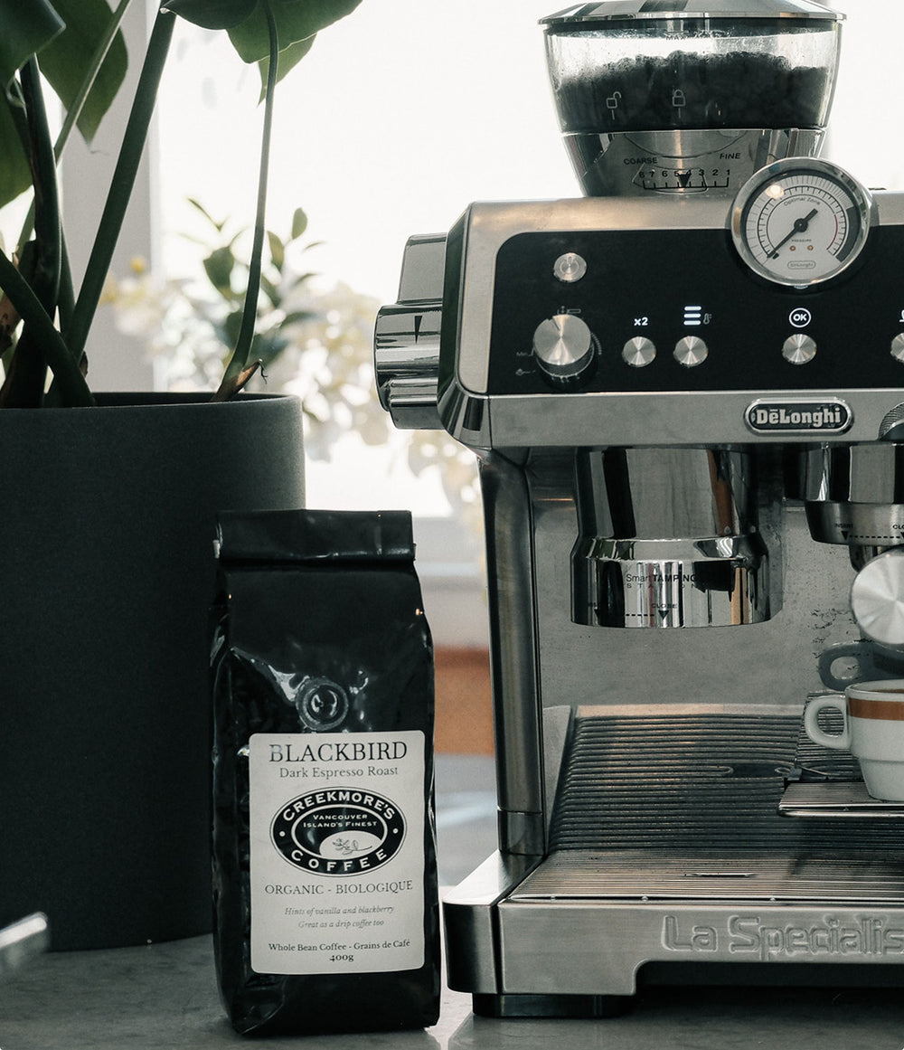 A bag of Blackbird Greenhouse Coffee on a countertop next to a stainless steel Delonghi La Specialista espresso machine, with a potted plant in the background.