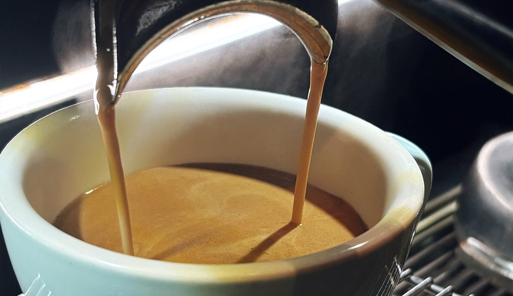 Espresso pouring from a metal portafilter into a white ceramic cup, with rich crema visible on the surface of the coffee.